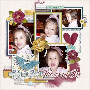 pieces of me