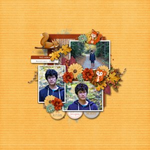 fall
