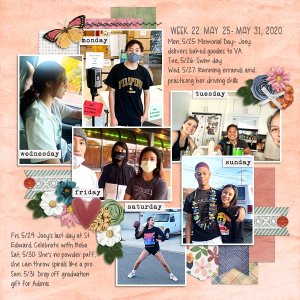 Week 22 {2020}