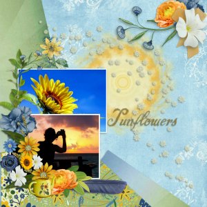 sunflowers15