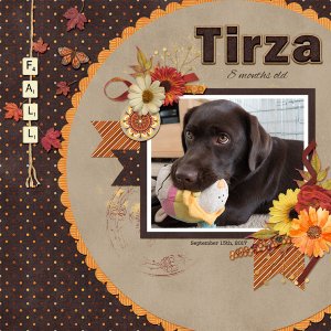 Tirza
