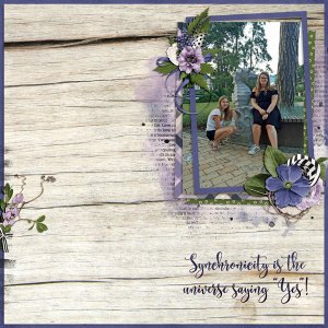 our journey