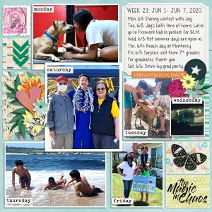 Week 23 {2020}