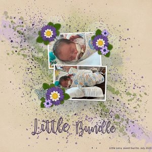 Little Bundle