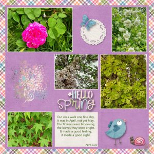 Hellow Spring walk