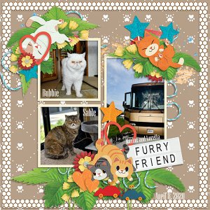 Fur-Ever Family Cats