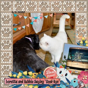 Fur-Ever Family Cats