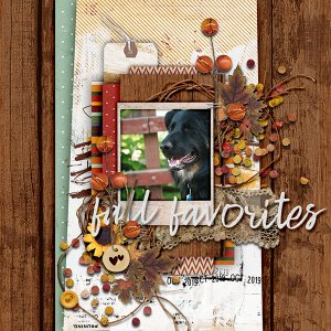 Fall Favorites