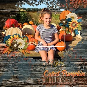 Cutest pumpkin in the patch
