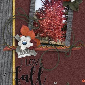 Fall cover
