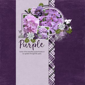 Purple