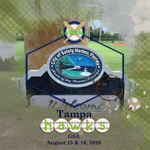 Tampa Hawks 2020