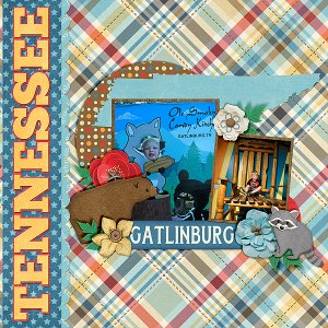 gat-tn