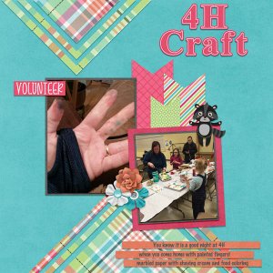4H Crafts