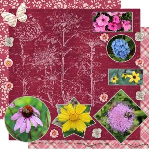 Flowers in Bloom
