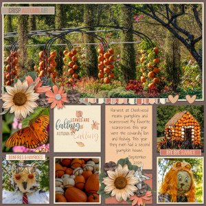 Cheekwood Harvest