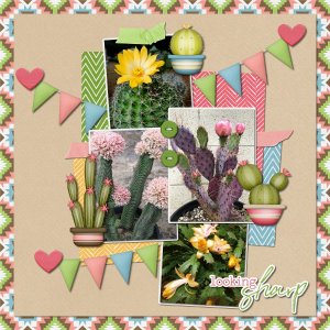 cacti