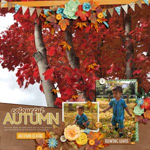 Colourful Autumn