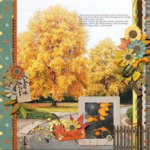 Colors of Autumn