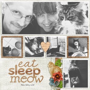Eat Sleep Meow