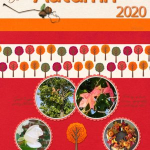 Signs of Autumn 2020