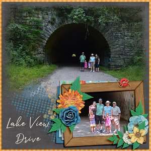 Lake View Drive 1
