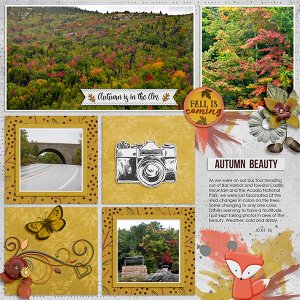 Autumn Beautfy