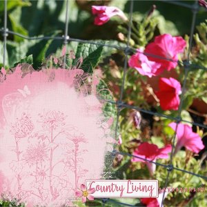 Flowers in the Country