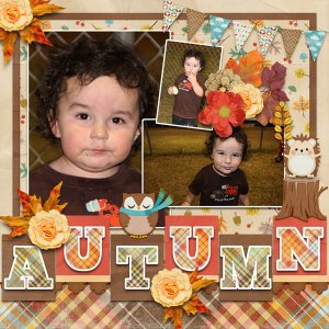 Breezy Autumn