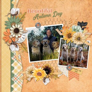 Beautiful Autumn Day