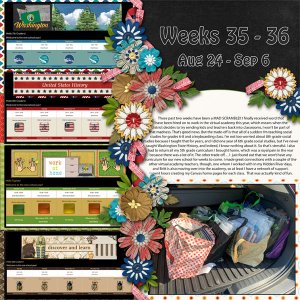 Weeks 35-36 of 52