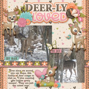 Deer Family
