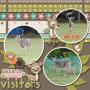 Deerly Loved Visitors