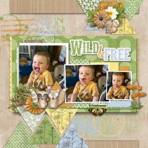 Wild + Free