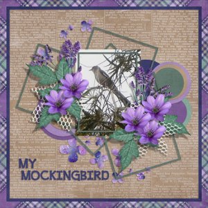 My Mockingbird