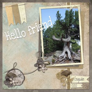 Hello Friend