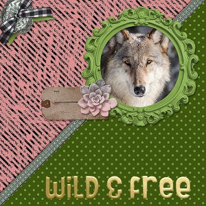 Wild and Free