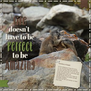 marmots