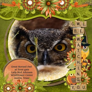 Owl be watching you ...