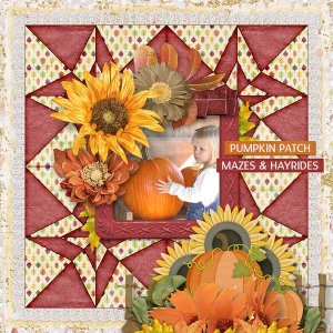 Fall Pumpkin Patch