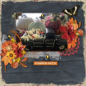 Fall Arrangement