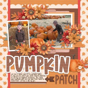 Pumpkin Patch