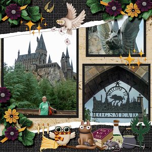 wizardingworldtcot-peekaboo2WEB600