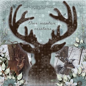 deerinyard3tcot-patronus2-WEB600