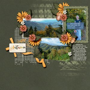Autumn Winds