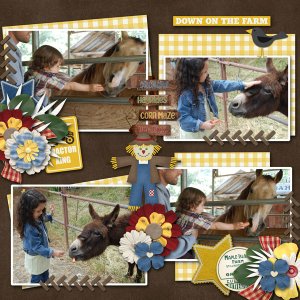 Down On The Farm
