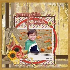 pumpkin patch