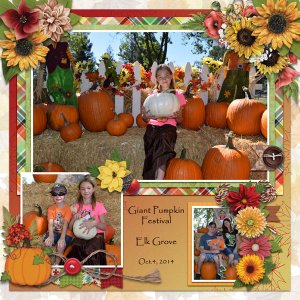 DFD - Oct.2020 Buffet