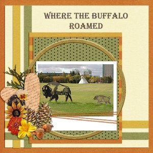 Where the Buffalo Roamed