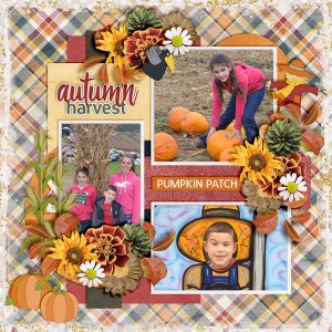 Autumn-Harvest1
